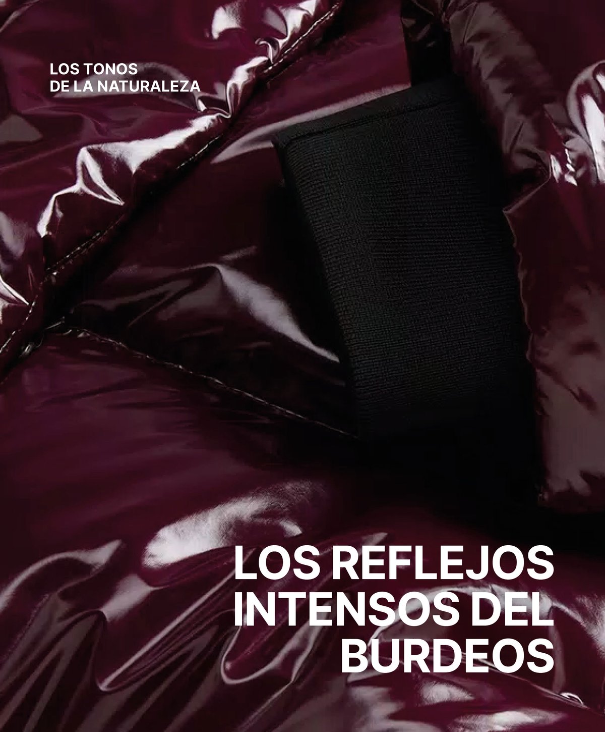 MainBanner_Header_ES-Jan-09-2025-11-03-20-4596-AM